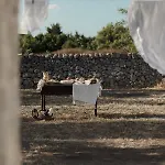 La Controra Oda ve Kahvaltı *