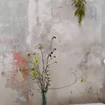 La Controra Oda ve Kahvaltı