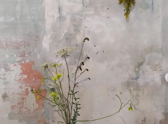 La Controra Bed & Breakfast