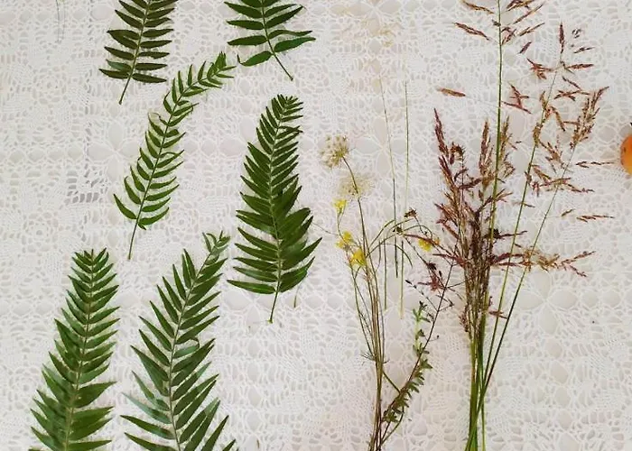 Bed & Breakfast La Controra Manduria