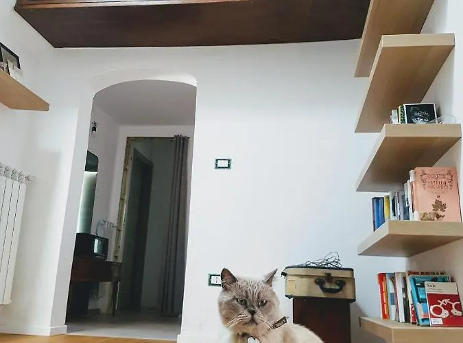 Bed & Breakfast La Controra *